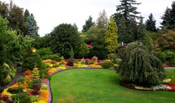 dispensary riley park-little mountain